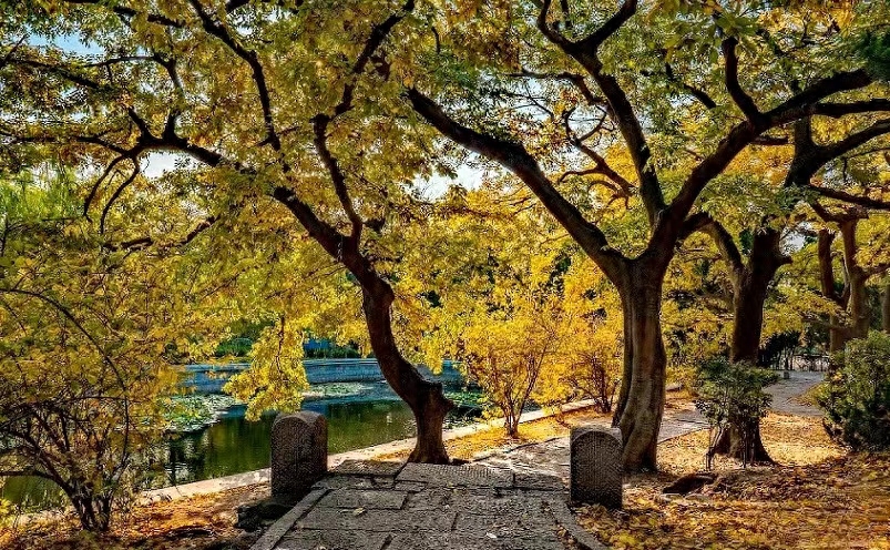 山东青岛旅游攻略景点必去（青岛十大必玩景点） 第31张