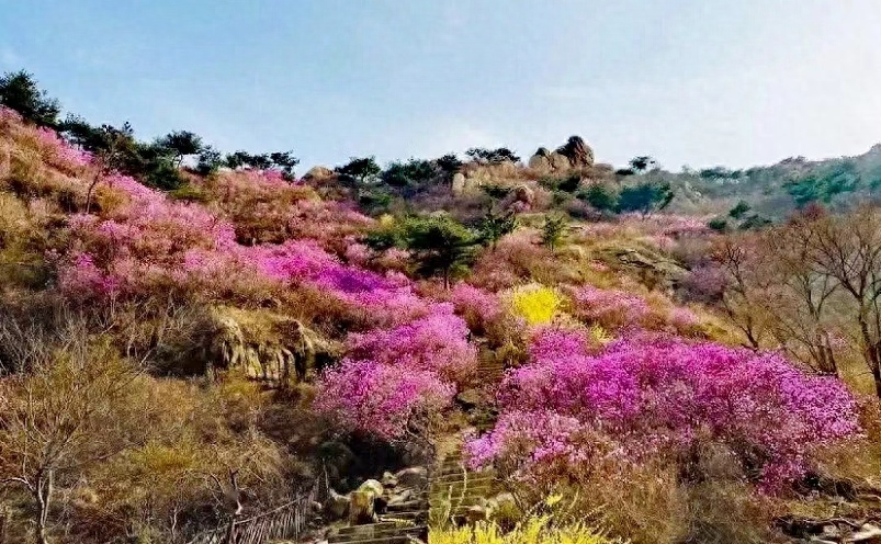 山东青岛旅游攻略景点必去（青岛十大必玩景点） 第45张