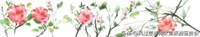 扶桑花的寓意和象征是什么（扶桑花的含义分析） 第7张