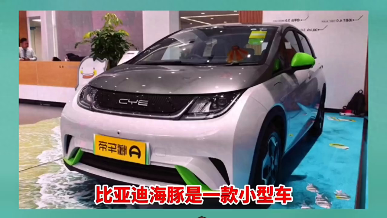 比亚迪海豚新能源汽车报价（比亚迪海豚2023款时尚版落地价） 第1张