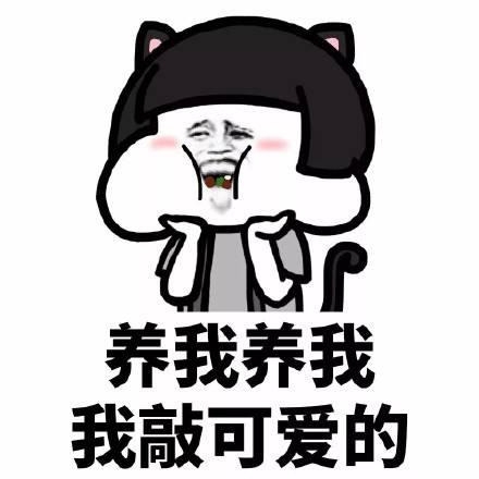 翻译在线拍照扫一扫（微信扫一扫的使用方法） 第13张