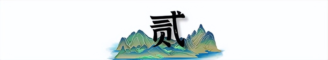 张佳宁的个人资料（张佳宁的艰难童年与家庭背景） 第7张