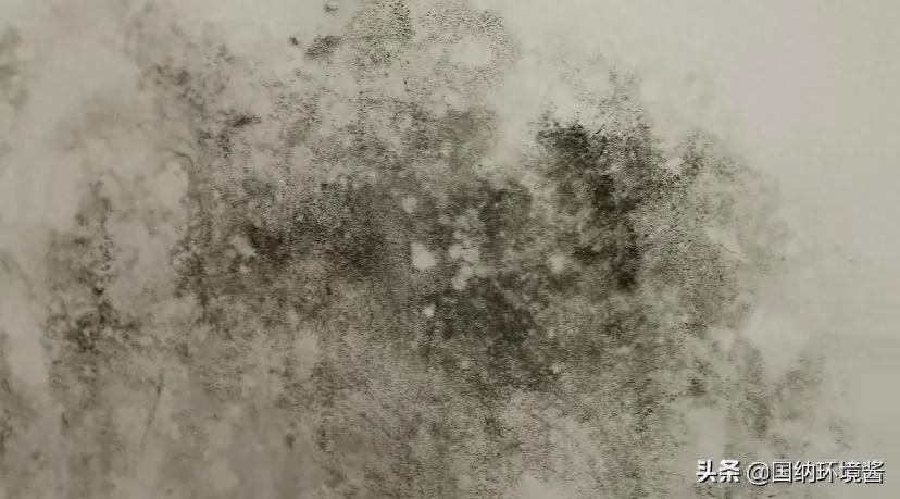 墙上有胶怎么能快速去掉（有效清除墙壁上残留的胶和霉迹的方法） 第3张