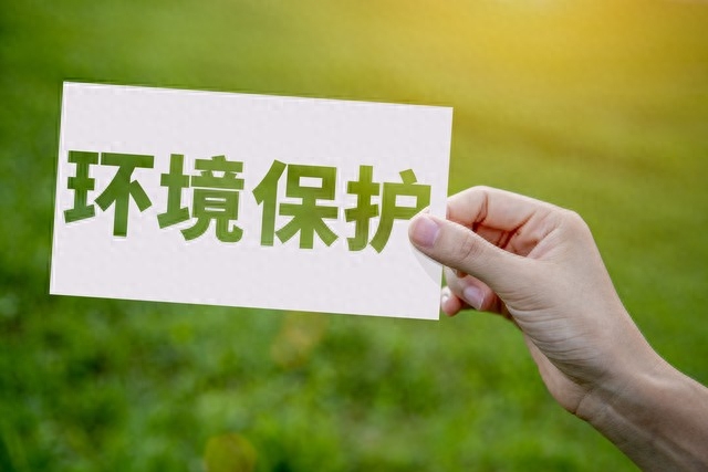 中石化加油站将转型什么时候开始（中石化加油站转型五合一） 第11张