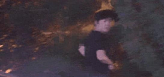 李云迪结婚了吗（李云迪因嫖娼被拘） 第11张