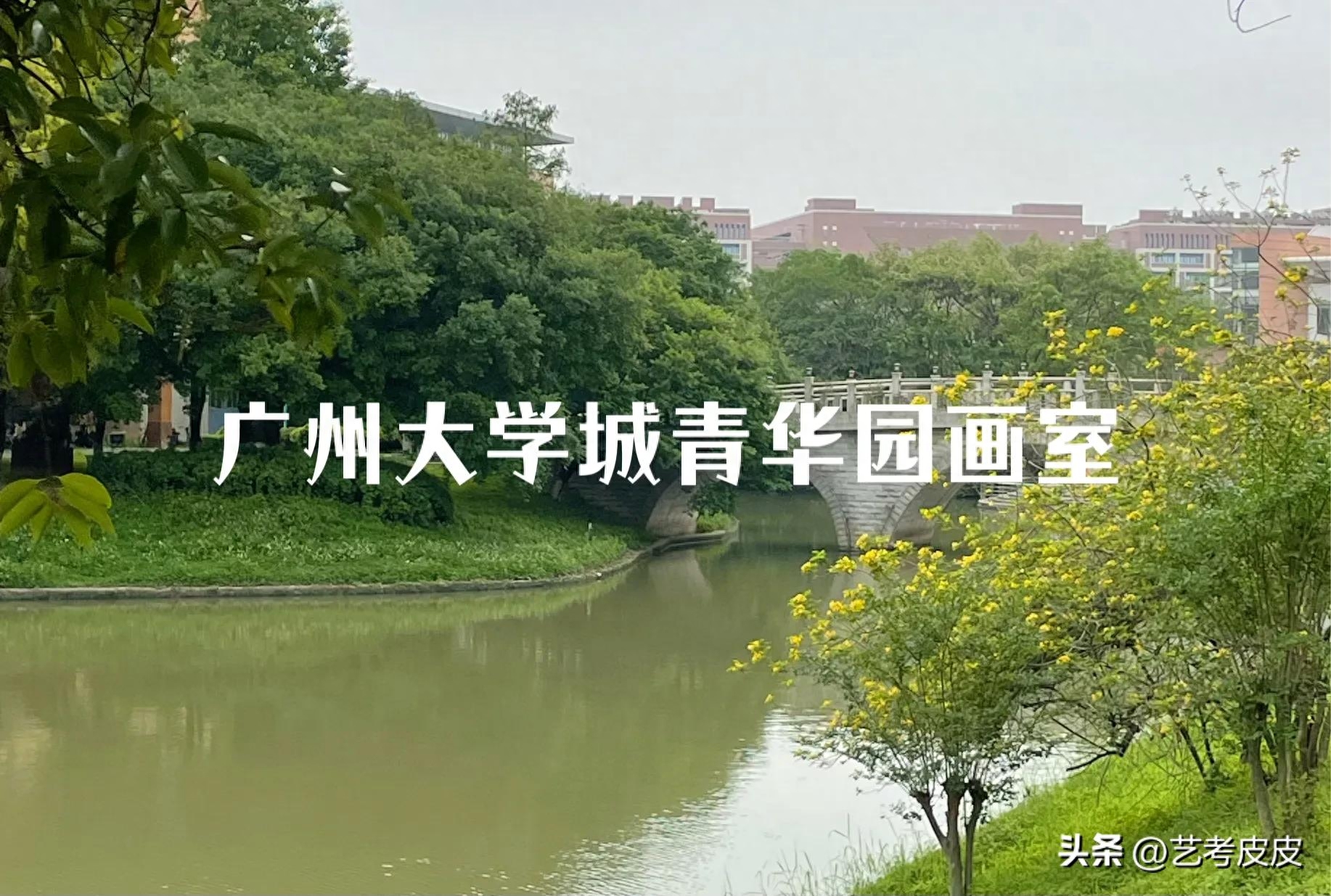 哪家培训机构学校好（十大职业教育机构） 第1张