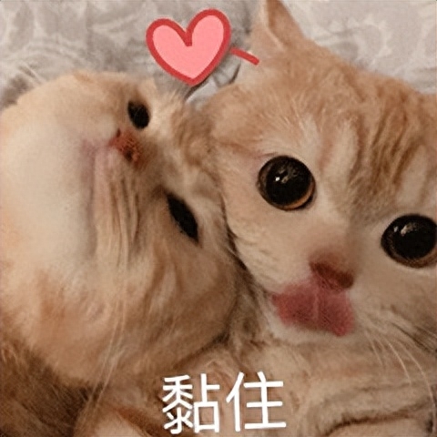 送男人皮带代表什么意思（情侣间送不同礼物的含义） 第3张