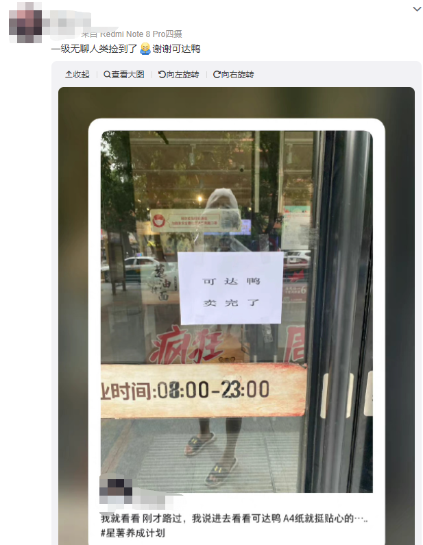 最高炒至1500元！登上热搜第一的这只鸭子，为啥那么火？ 第7张