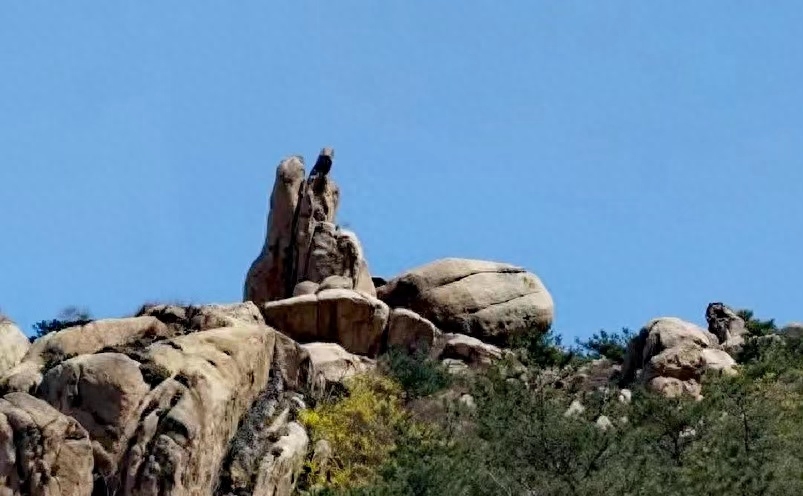 山东青岛旅游攻略景点必去（青岛十大必玩景点） 第51张