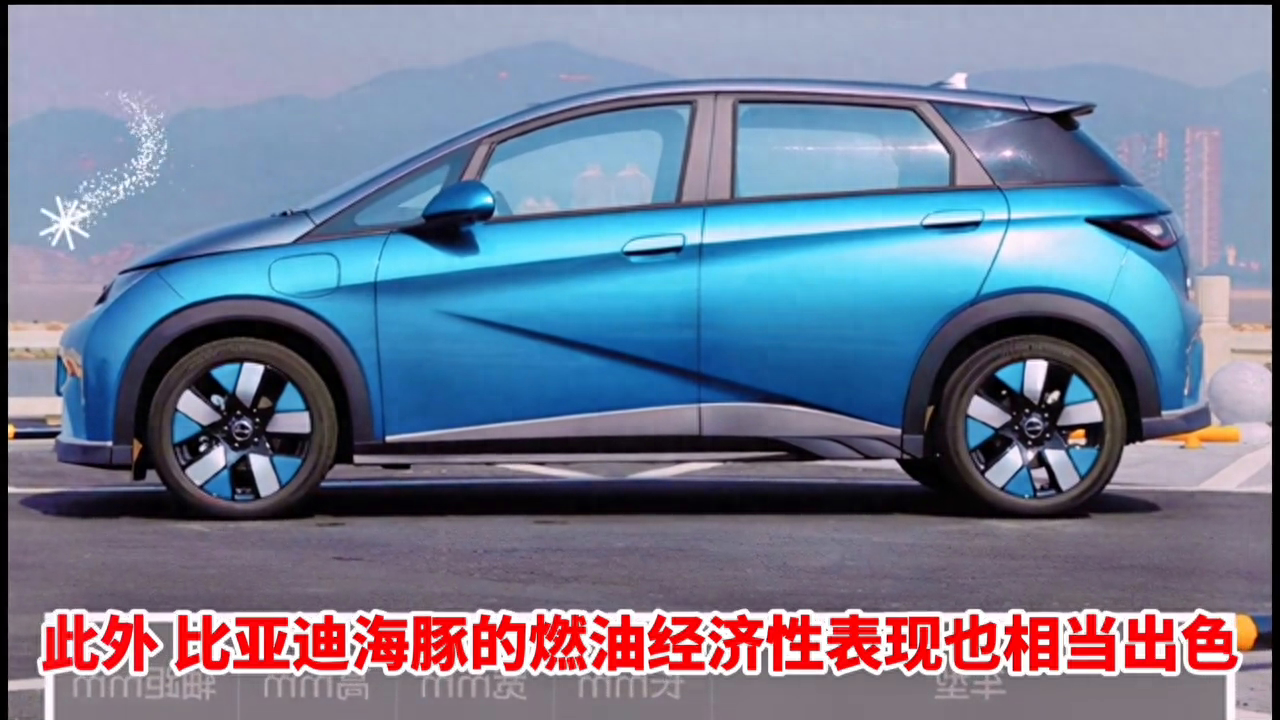 比亚迪海豚新能源汽车报价（比亚迪海豚2023款时尚版落地价） 第3张