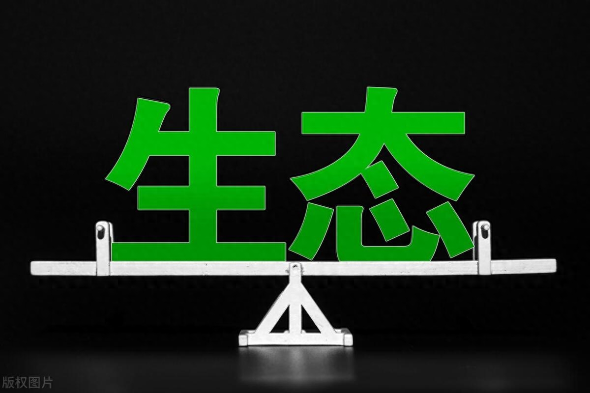 广东人口2023总人口数多少（中国各省人口排行榜） 第21张
