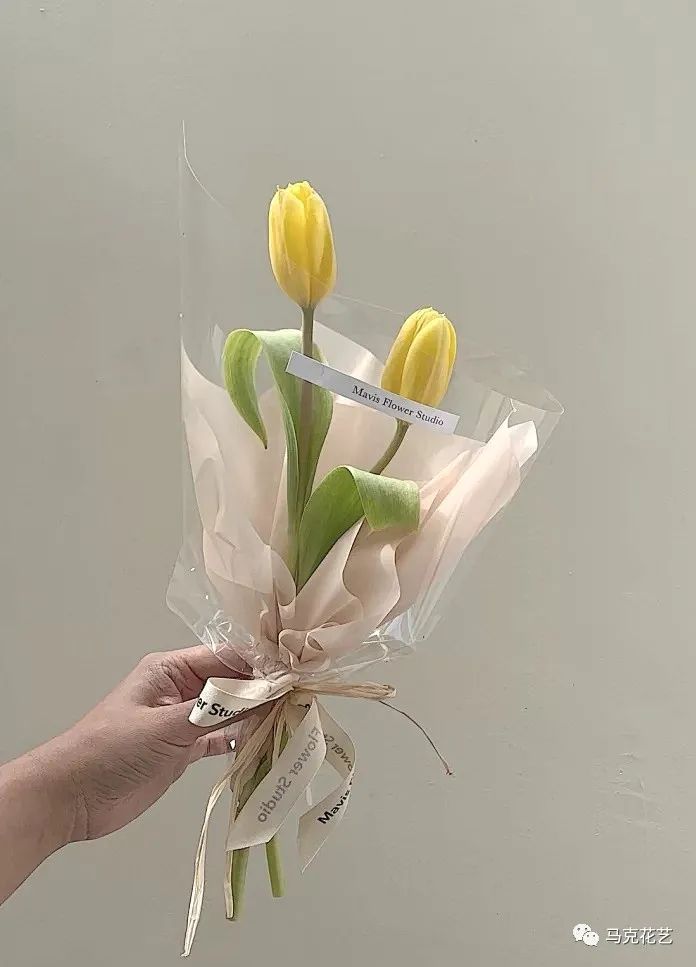马克花艺｜送对花表对意，别让好心办坏事 第83张