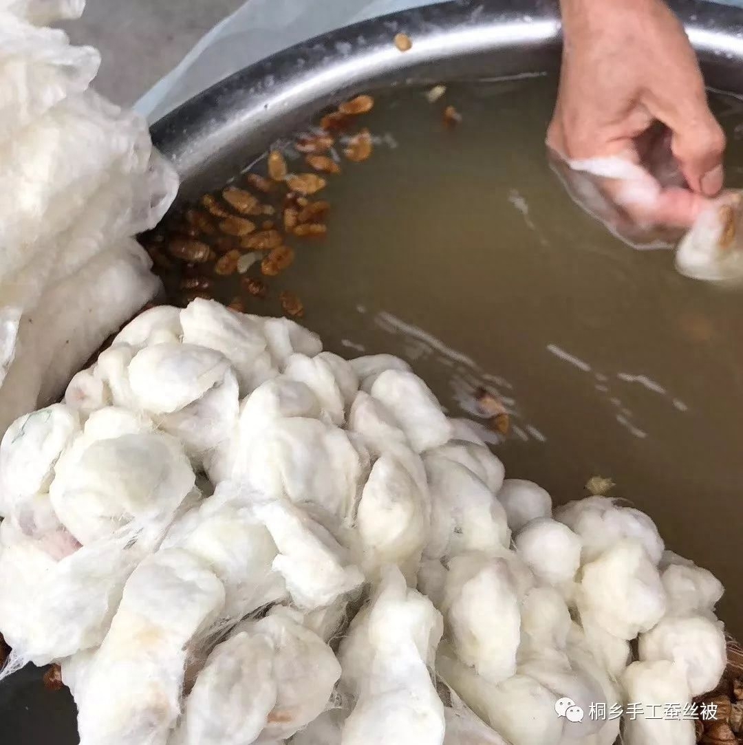 真正的蚕丝被大概多少钱一斤（真正的蚕丝被价钱） 第1张