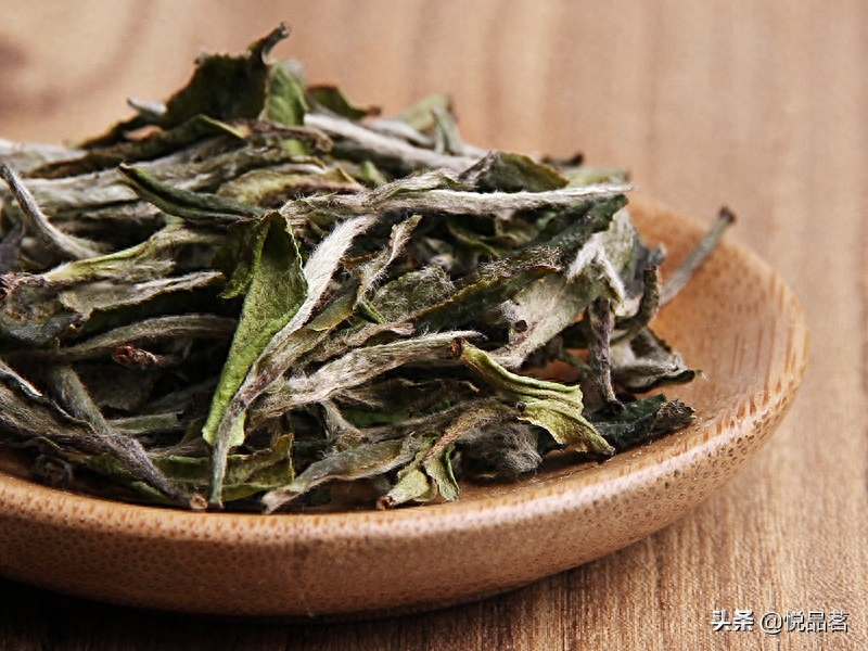 老白茶属于什么茶（老白茶的全面解析） 第3张