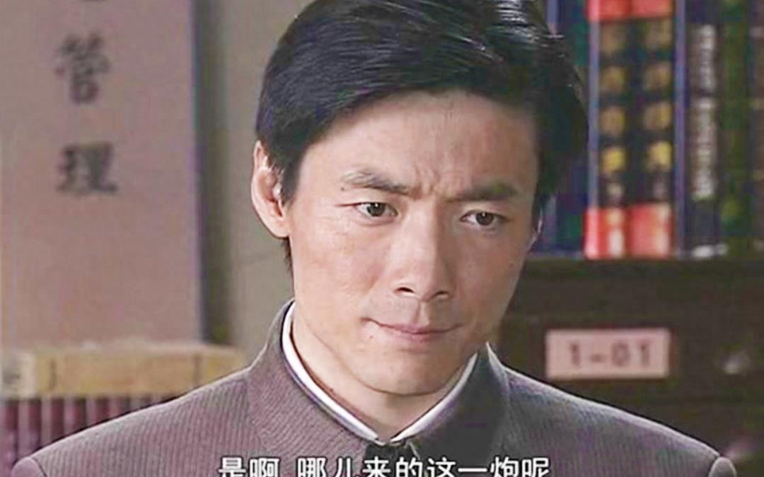 谍战电视剧排行榜前十名（最好的10部谍战剧排座次） 第5张