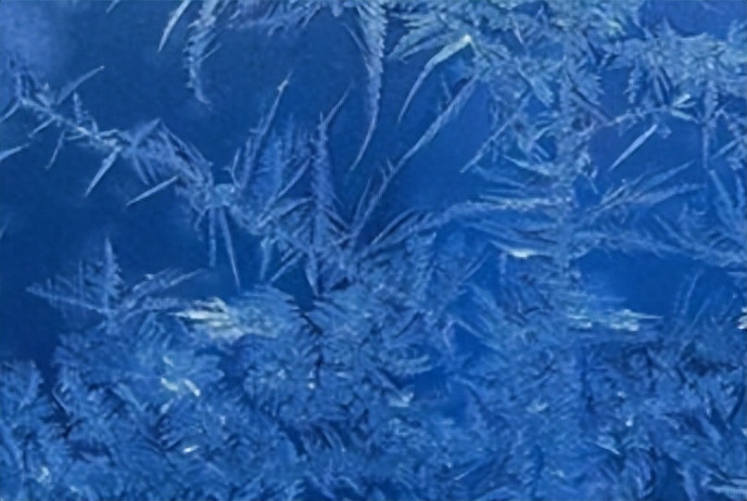兰芝隔离霜好用吗（韩国兰芝隔离使用效果） 第27张