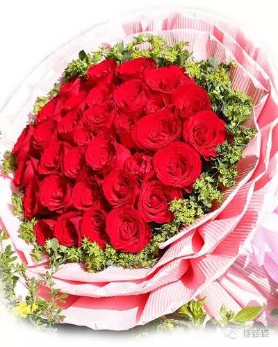 33朵玫瑰花语 第9张