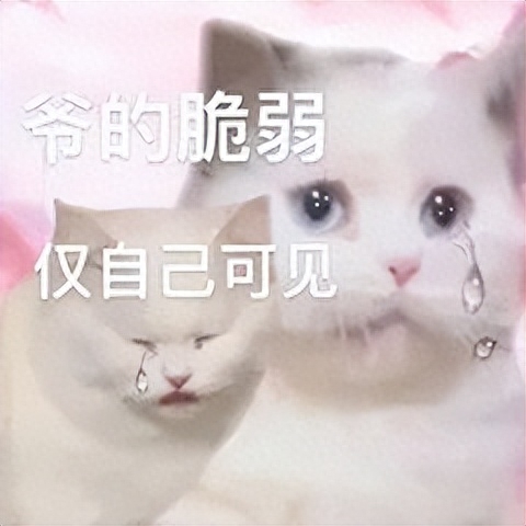 最新更新的微信功能（微信刚更新五大新功能） 第5张