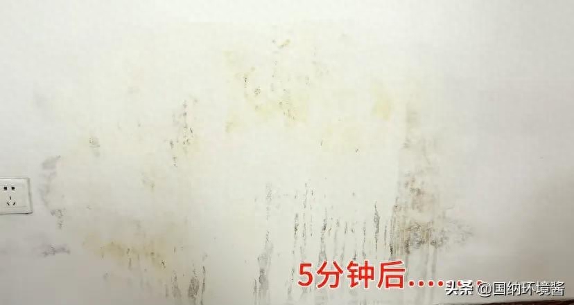 墙上有胶怎么能快速去掉（有效清除墙壁上残留的胶和霉迹的方法） 第7张