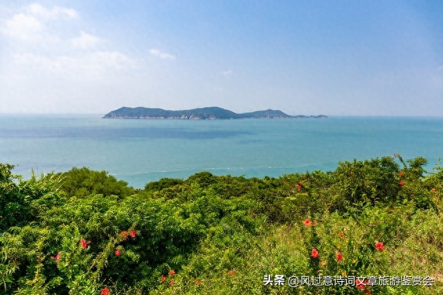 扶桑花的寓意和象征是什么（扶桑花的含义分析） 第13张